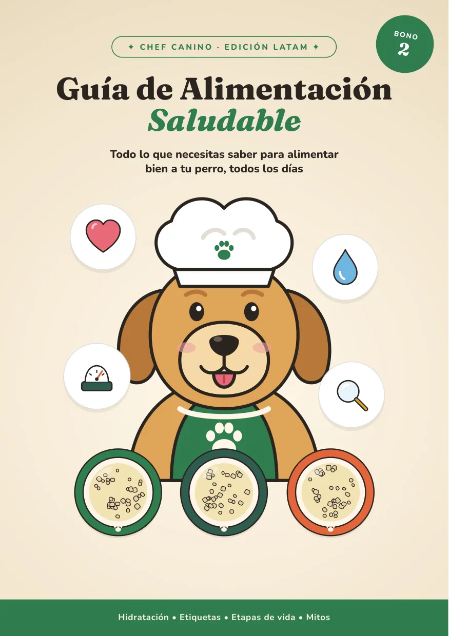 Portada del bono Guía de Alimentación Saludable