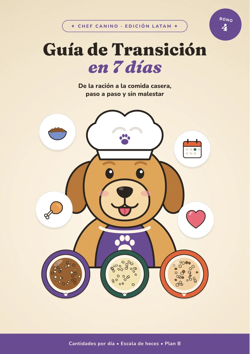 Portada del bono Guía de Transición en 7 días