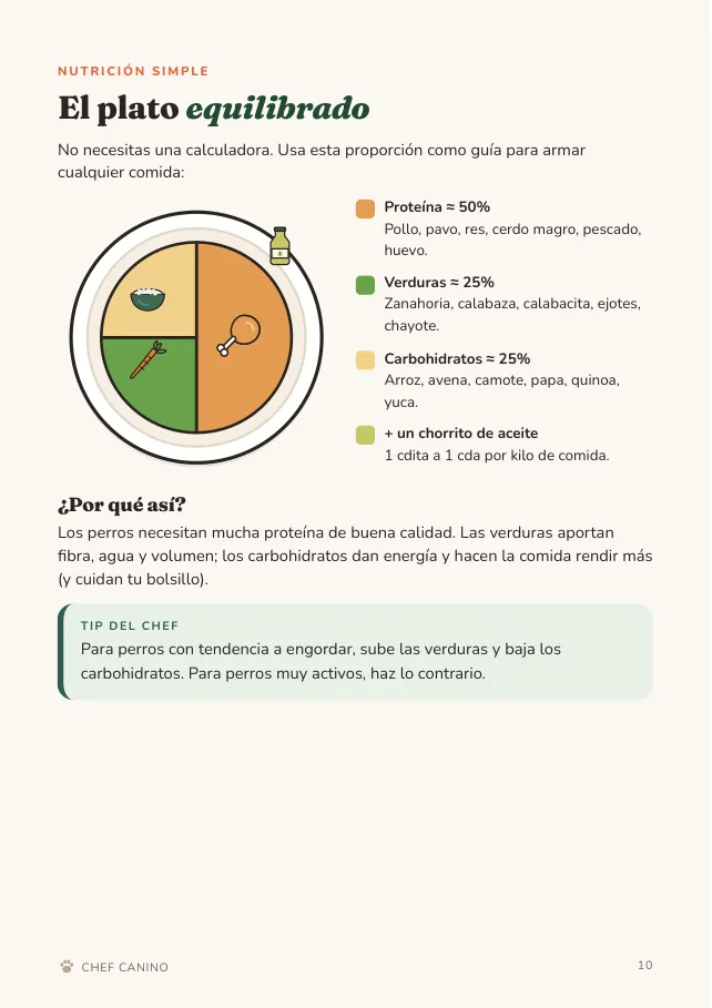 Página de muestra del libro Chef Canino